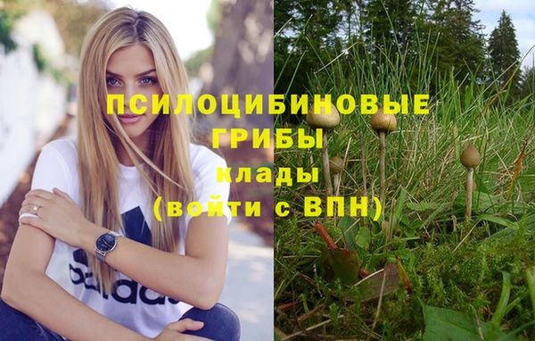 крисы Балабаново