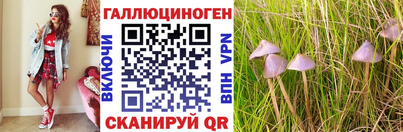 Псилоцибиновые грибы MAGIC MUSHROOMS  Балашиха 